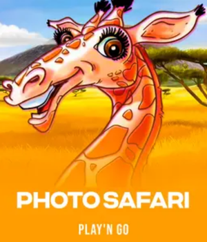 Photo Safari